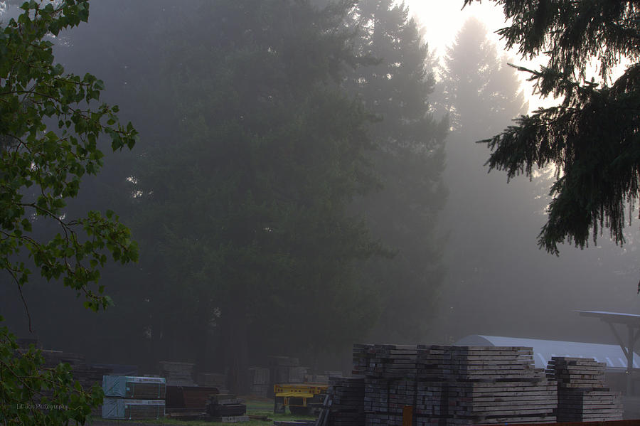 Fog In The Lumber Yard Photograph by Jeanette C Landstrom