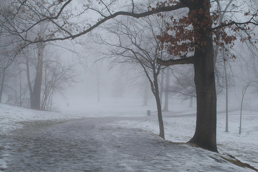 Fog in the Park Photograph by Rich S