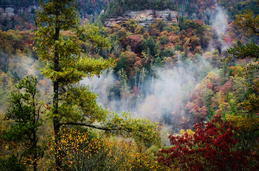Color Photograph - Fog In The Valley by Diana Boyd Color Photograph - Fog In The Valley by Diana Boyd