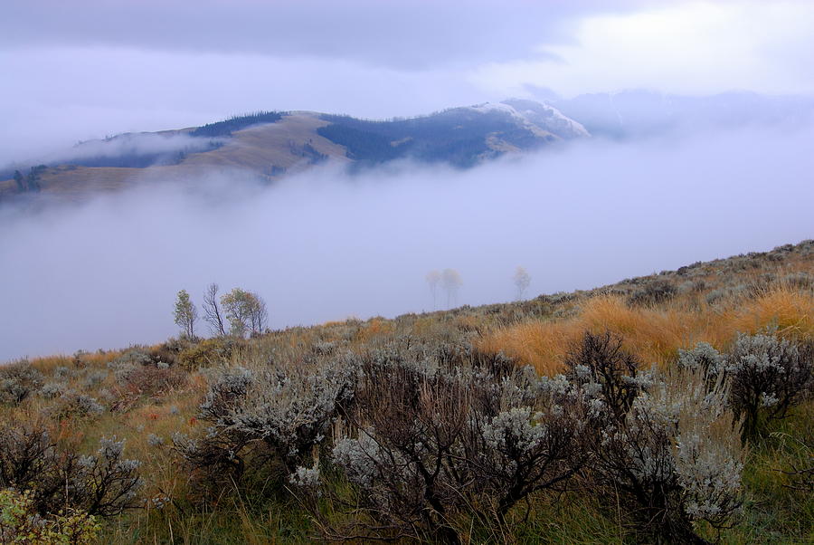 Fog in the Valley Photograph by Larry Ricker