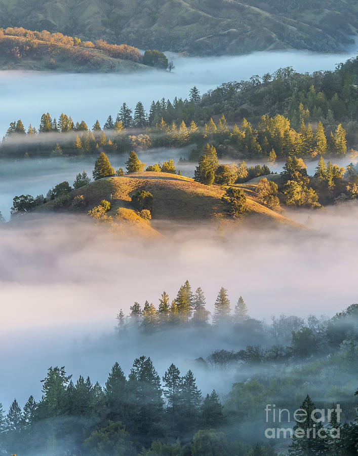 Fog in the Valley on the Sonoma Coast of California Photograph by Daniel Ryan