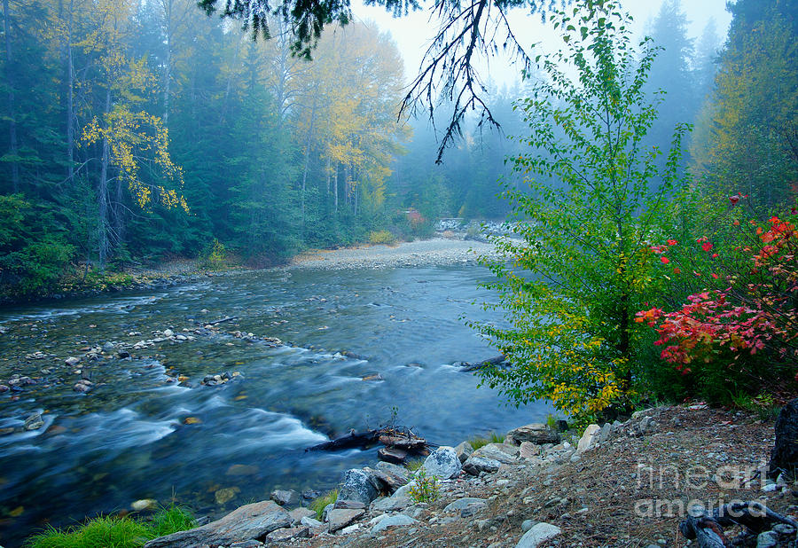 Fog in the Wenatchee Forest Photograph by Idaho Scenic Images Linda Lantzy