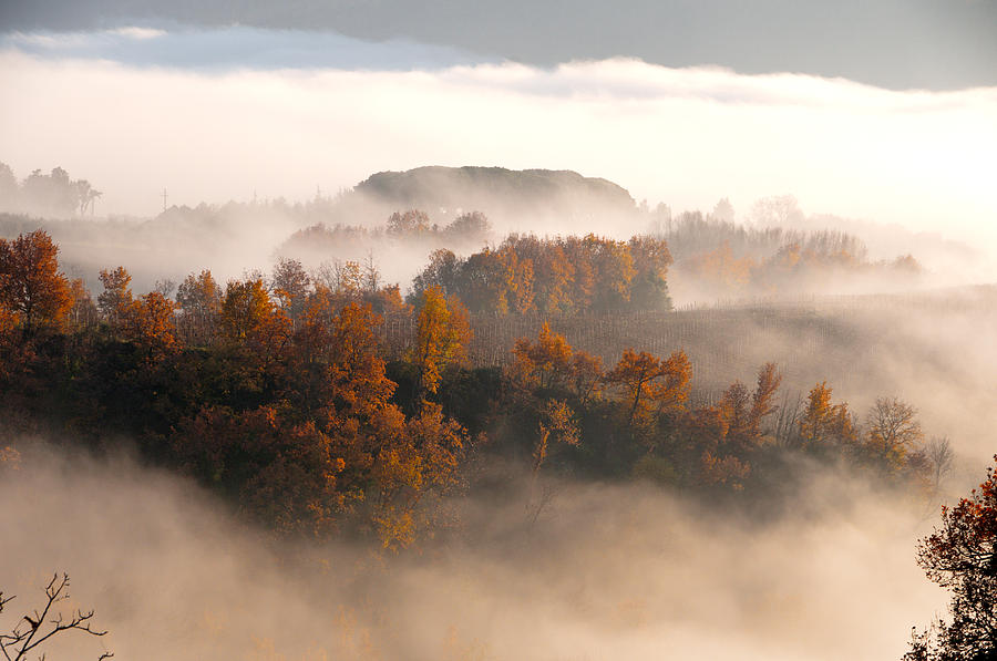 Fog in Umbria Photograph by Francois Dumas
