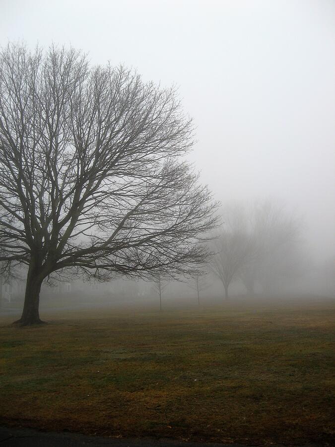 Fog Photograph by John Scates