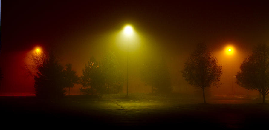 Fog Lights Photograph by Phil Koch