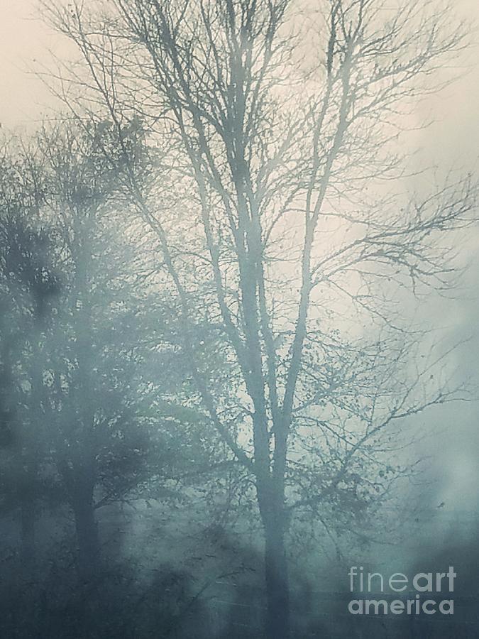 Fog Photograph by Maria Urso