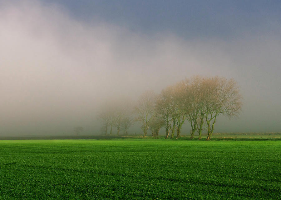 Fog Photograph - Fog Meet Sun by Phillips and Phillips Fog Photograph - Fog Meet Sun by Phillips and Phillips