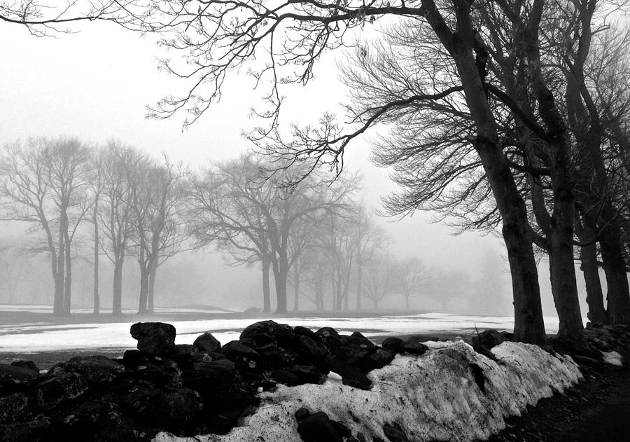 Fog Melting Snow in Fairfield Connecticut Photograph by Polly Castor