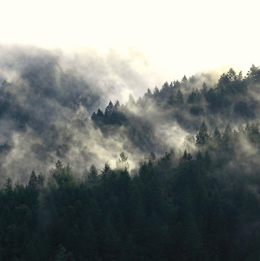 Fog Moving Through The Hills Photograph by KATIE Vigil