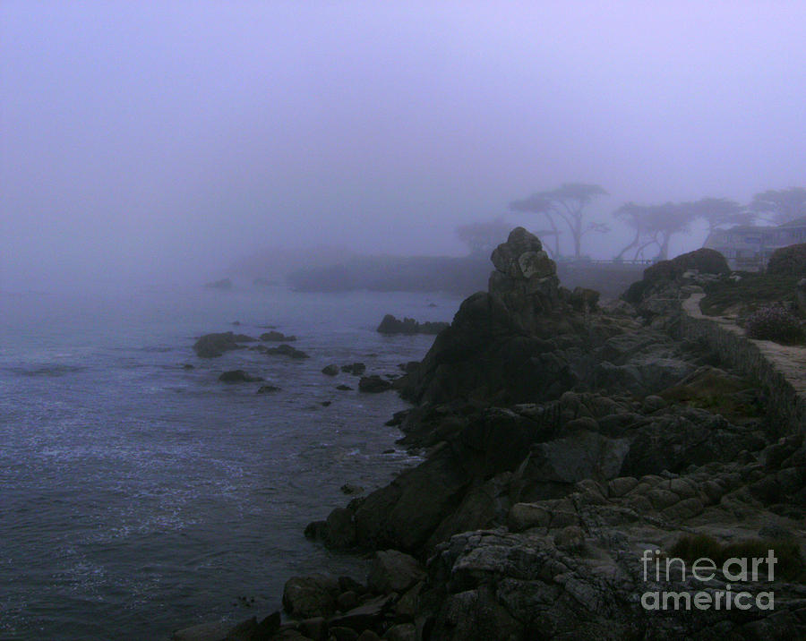 Landscape Photograph - Fog of Monterey by Rick Maxwell