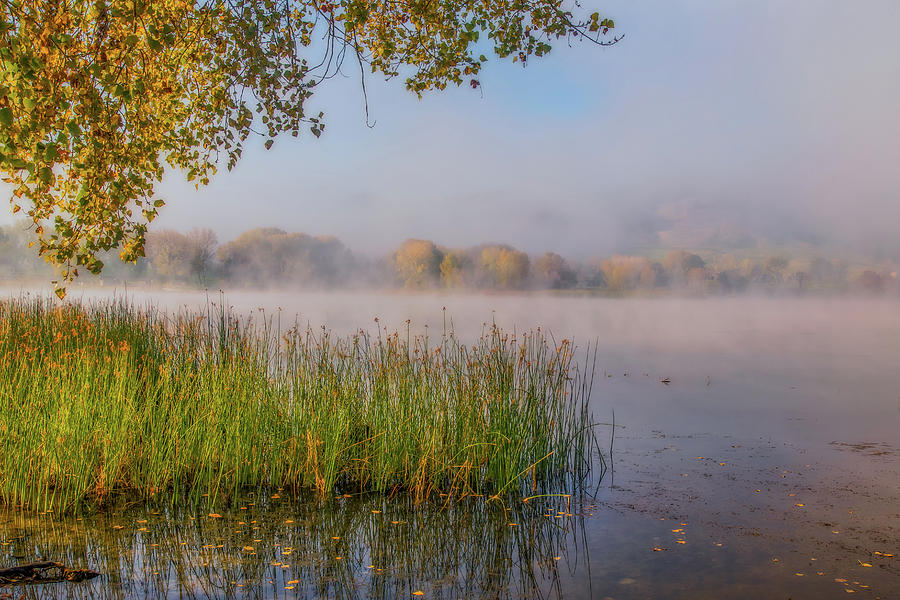 Fog on a Calm Morning Photograph by Marc Crumpler
