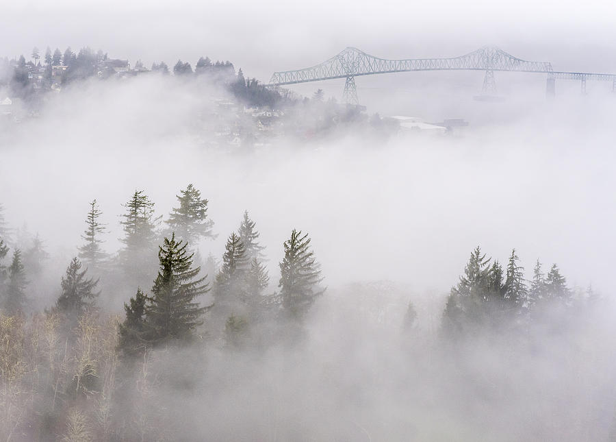 Fog on Astoria Photograph by Robert Potts