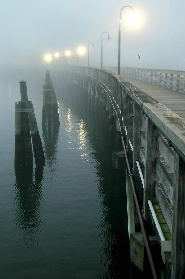 Fog on Deck Photograph by Diana Angstadt