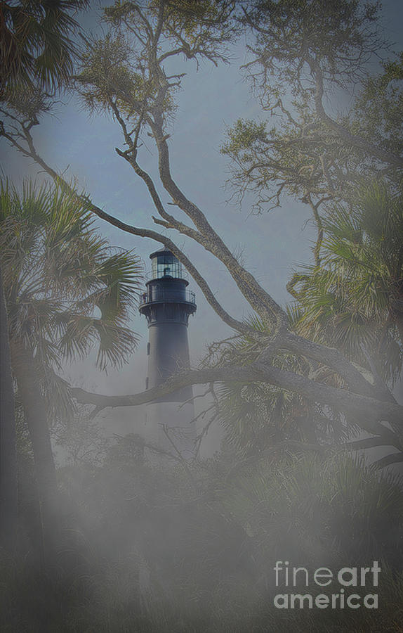 Fog On Hunting Island Photograph by Skip Willits
