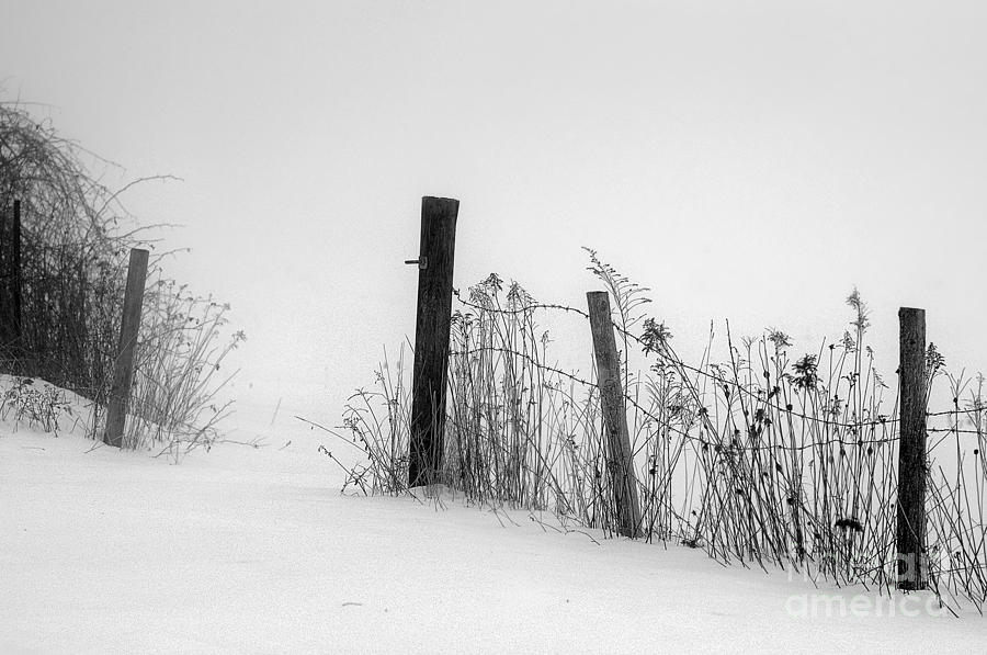 Fog on Snow Photograph by Sandra Silva