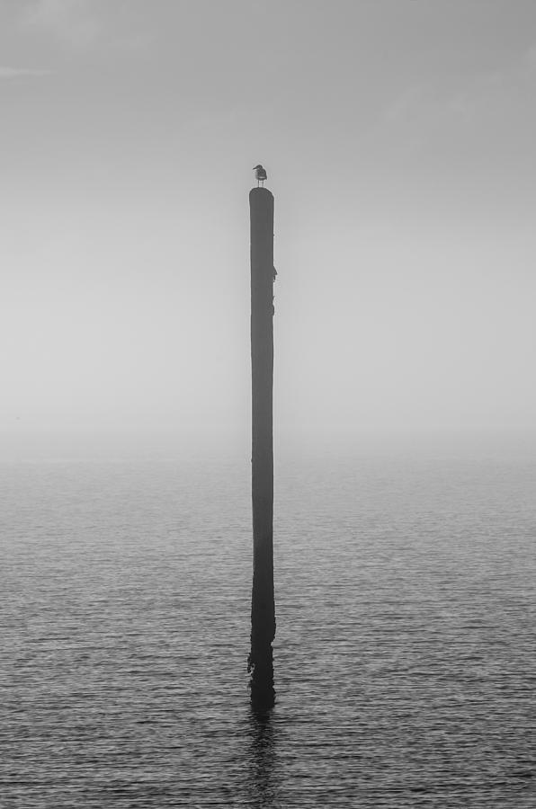 Fog on the Cape Fear River by Willard Killough III Fog on the Cape Fear River by Willard Killough III