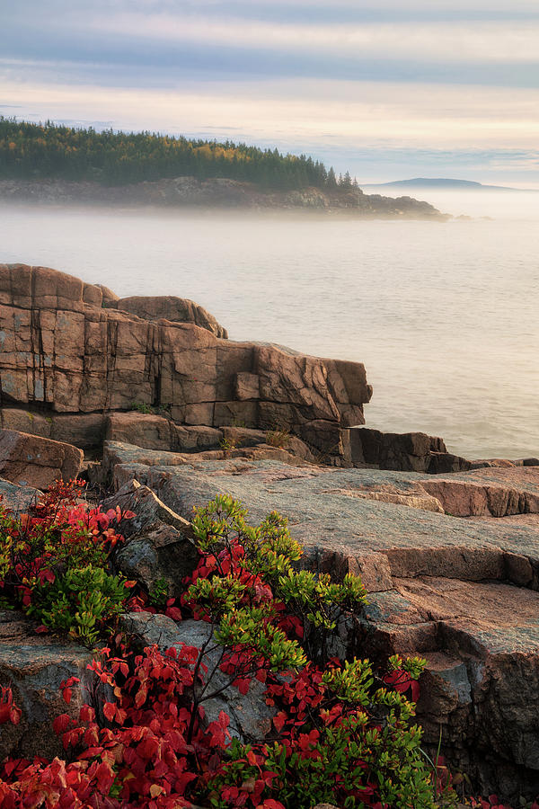 Fog on the Cliffs Photograph by Darylann Leonard Photography