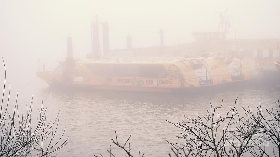 Fog On The Elbe Photograph