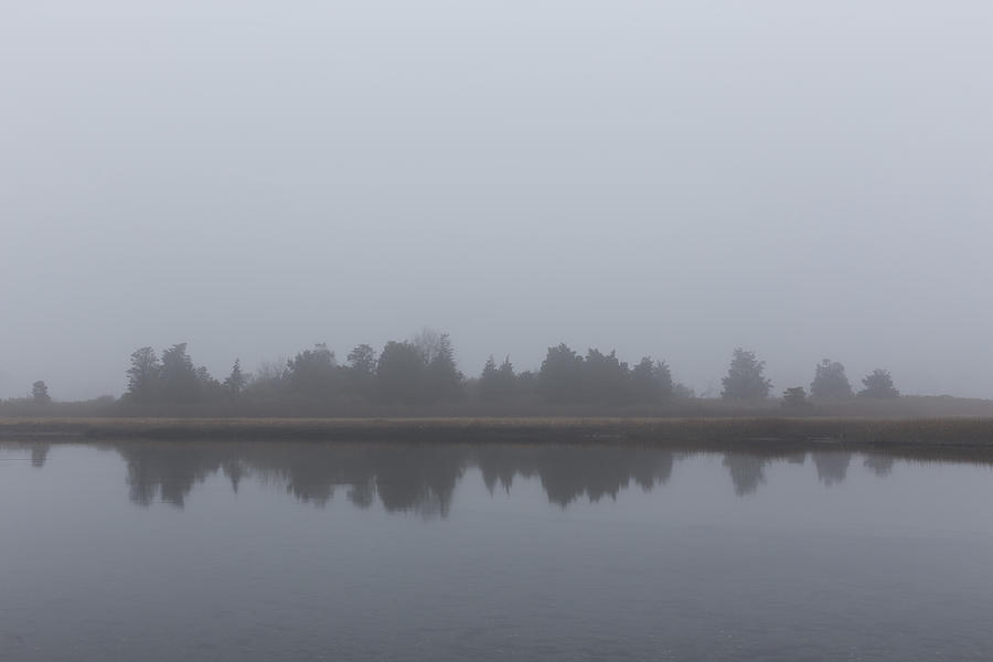 Fog on the Marsh Photograph by Andrew Pacheco