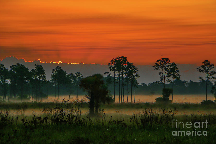 Fog on the Marsh at Sunrise Photograph by Tom Claud