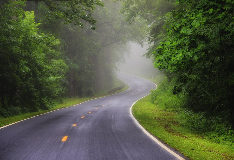 Summer Photograph - Fog on the Parkway 2 by Rachel Cohen