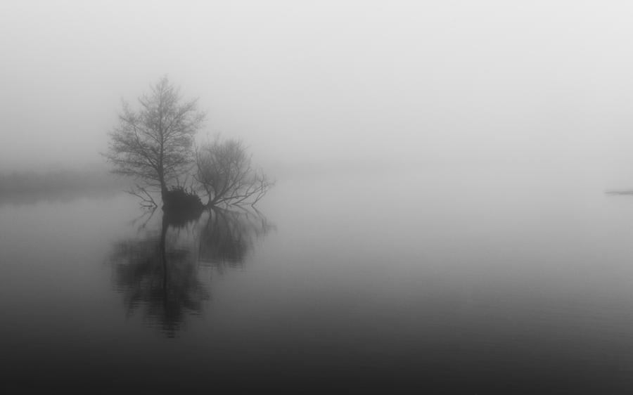 Nature Photograph - Fog on the Pond by Paul Fenton