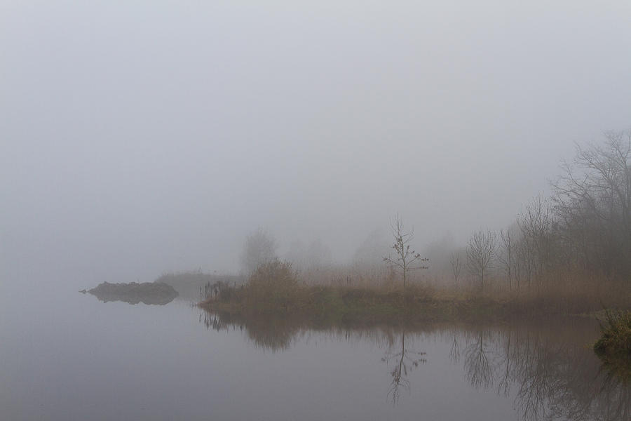 Fog on the pond Photograph by Paul MAURICE