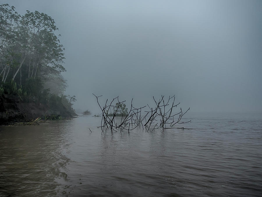 Fog on the River Photograph by Jessica Levant