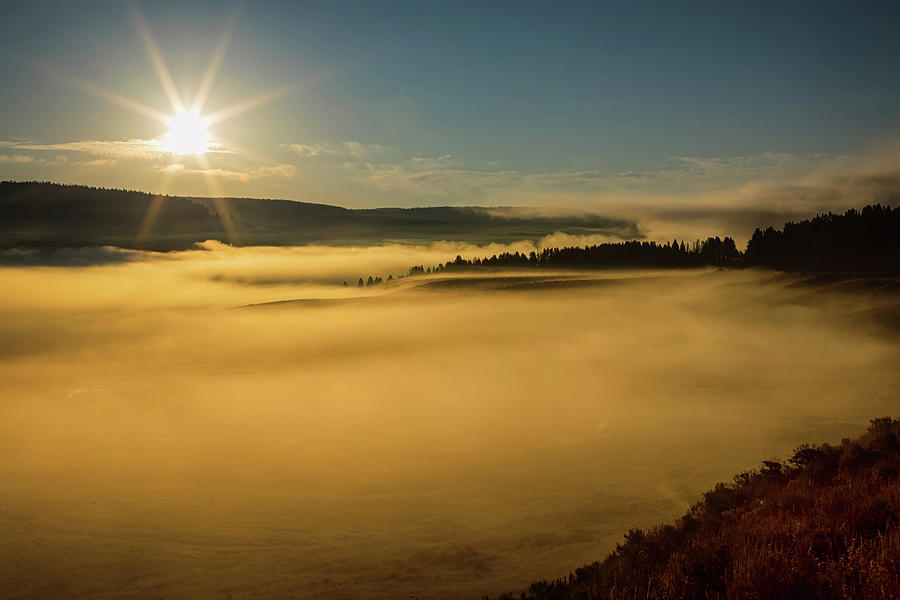 Fog On Yellowstone Lake Photograph by James BO Insogna