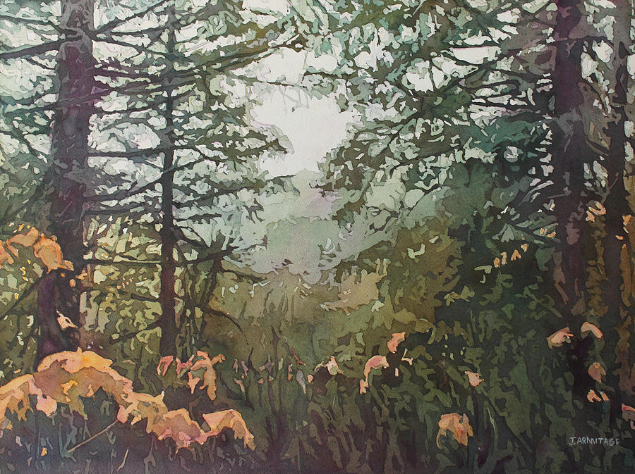 Fog Over Croisan Creek Painting by Jenny Armitage