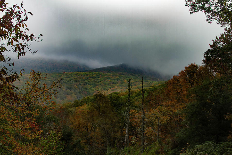Fog Over Grandfather Mountain Photograph by Karen Ruhl