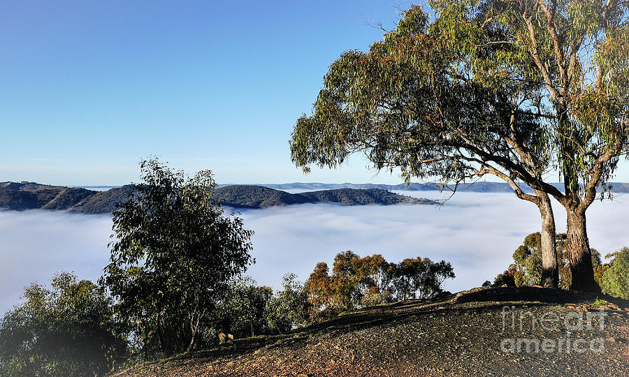 Fog over Hill End Photograph by Lexa Harpell