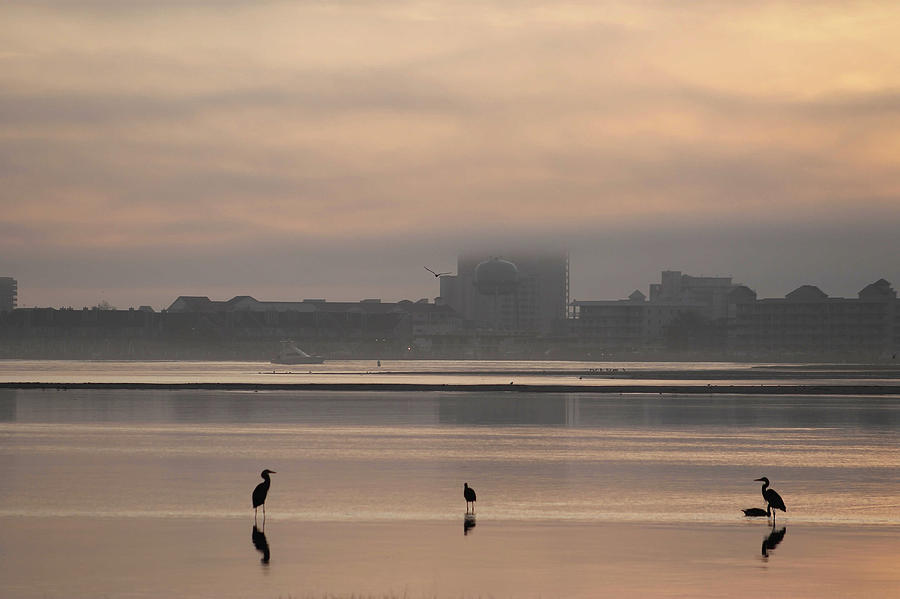 Fog Over Ocean City MD Photograph by Robert Banach