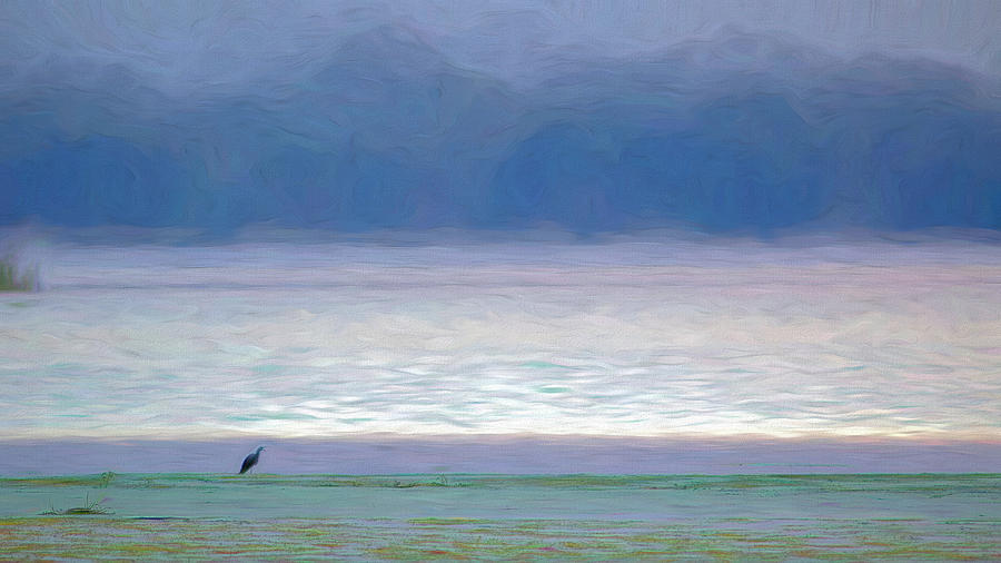 Fog Over the Lagoon Digital Art by Glenn Woodell
