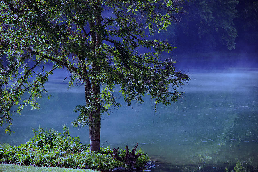 Fog over the pond Photograph by Susanne Van Hulst
