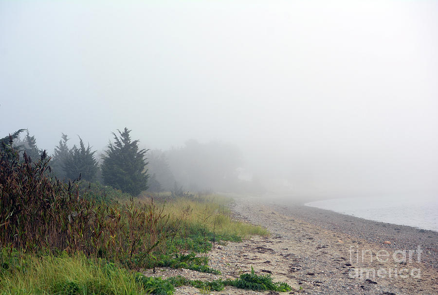 Fog Rolling In to the Shore Digital Art by Dianne Morgado
