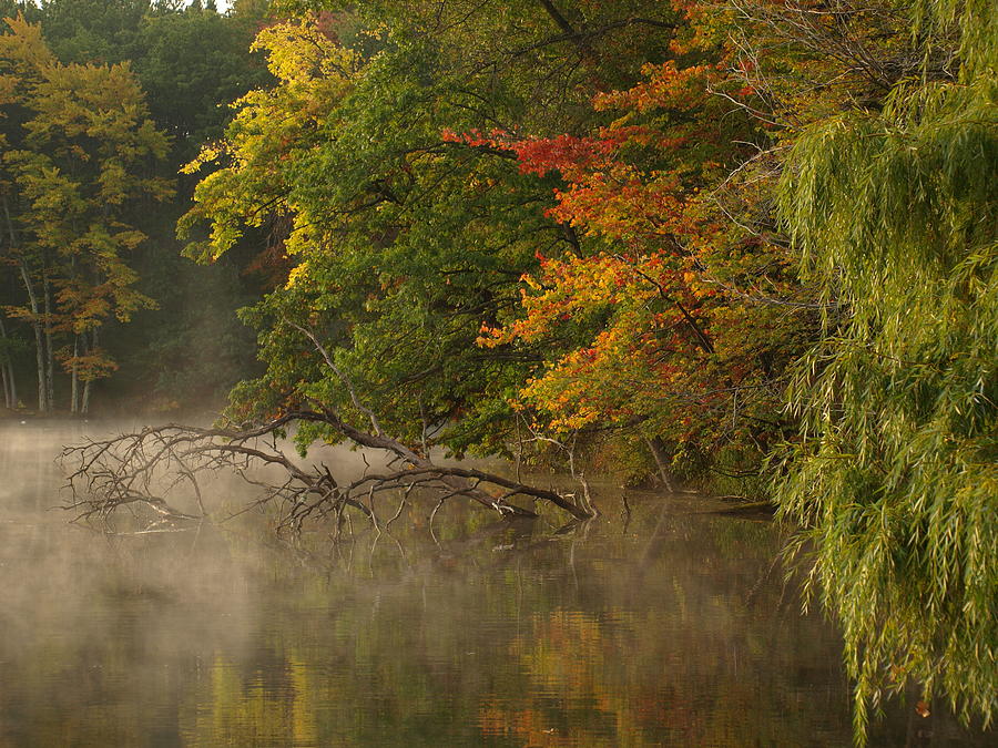 Fog Rolls into Fall Photograph by Thomas Young