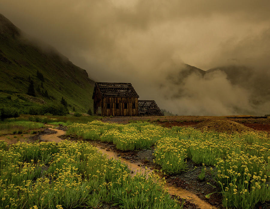 Fog Rolls Over the Frisco Mill with Summer Wildflowers Photograph by Bridget Calip