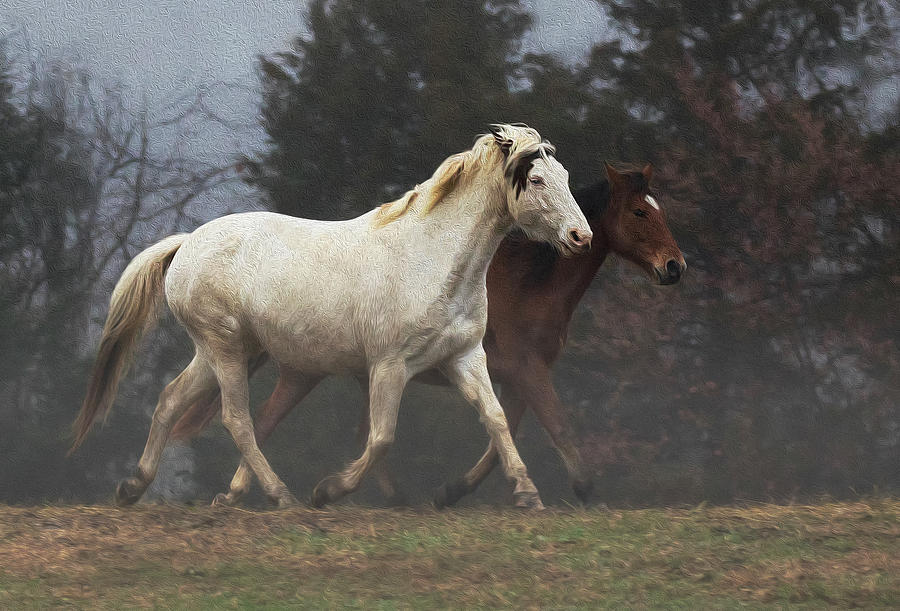 Fog Trot Photograph by Art Cole