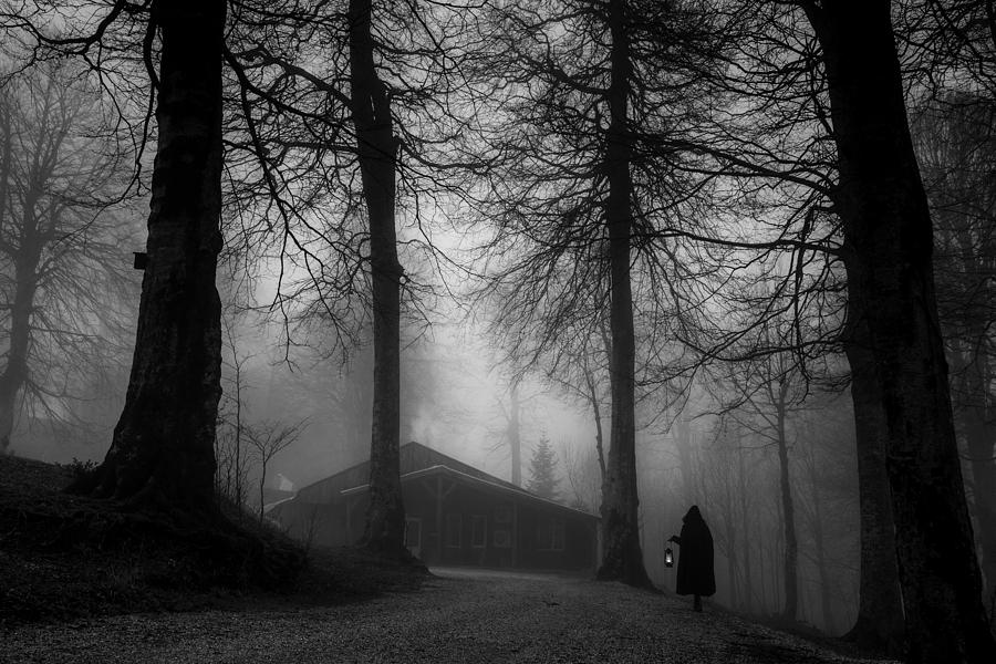 Tree Photograph - Fog by Ummu  Nisan Kandilcioglu