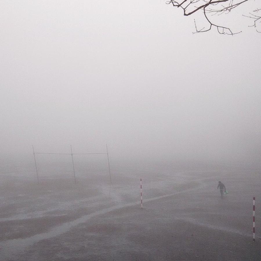 Nature Photograph - #fog #uttarakhand #india #ngma by Devraj Verma