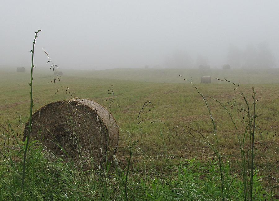 Fogbales Photograph by Char Szabo-Perricelli
