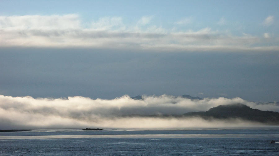 Fogbank, Tofino 2007 Photograph by Chris Honeyman Fogbank, Tofino 2007 Photograph by Chris Honeyman