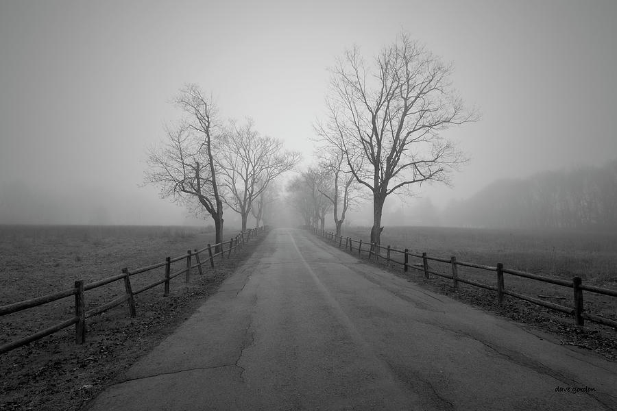 Foggy Afternoon I BW Photograph by David Gordon