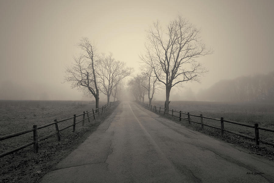 Foggy Afternoon I Toned Photograph by David Gordon