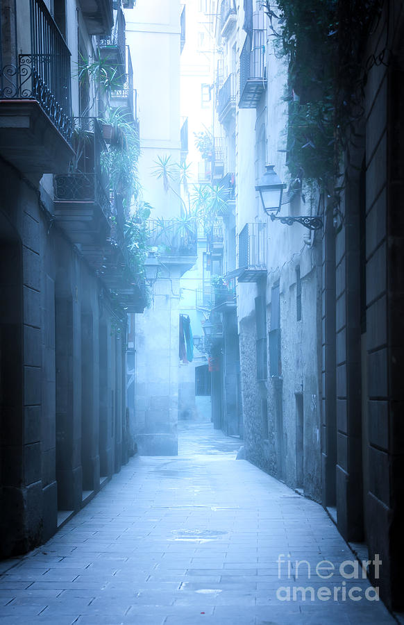 Foggy Alley Photograph