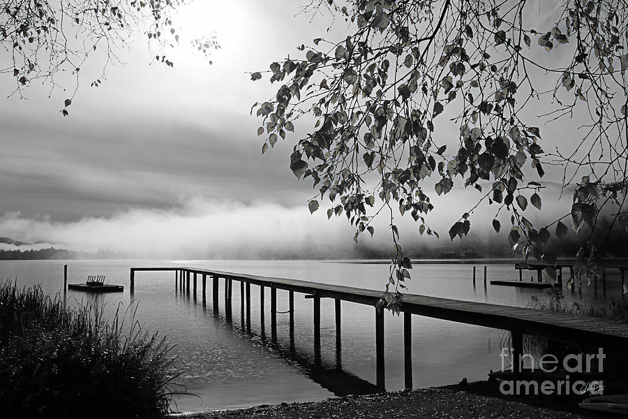 Foggy Autumn Morning in BW Photograph by Cheryl Rose