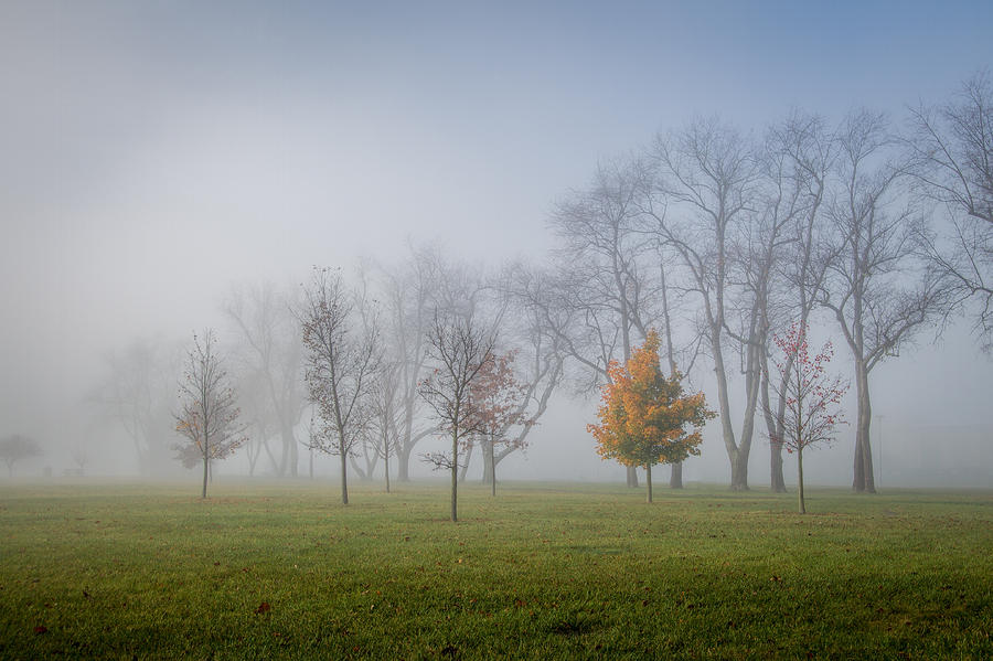Foggy Autumn Morning Photograph