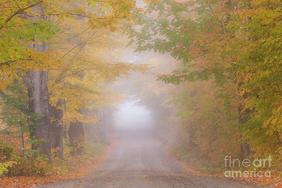 Foggy Autumn Road Photograph by Alan L Graham