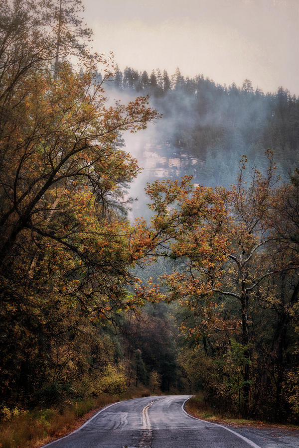 Foggy Autumn Road  Photograph by Saija Lehtonen